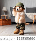 戦闘犬 116565690
