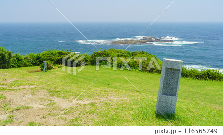 千葉県勝浦市】鵜原理想郷・黄昏の丘と白鳳岬の写真素材 [116565749