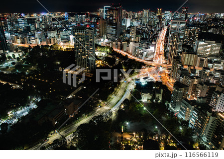 夜景　～東京・東京タワー・1～ 116566119