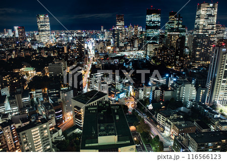 夜景 ~東京・東京タワー・3~ 夜景 ~東京・東京タワー・3~ 116566123