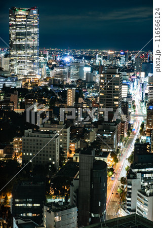 夜景　～東京・東京タワー・4～ 116566124