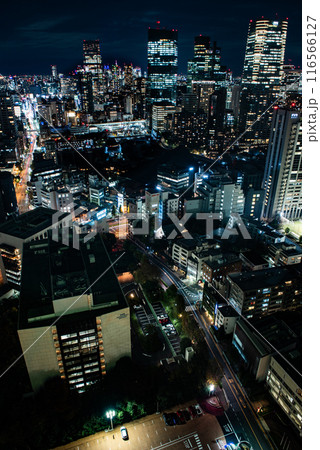 夜景　～東京・東京タワー・6～ 116566127