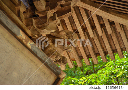 埼玉県秩父郡小鹿野町河原沢の龍頭(りゅうとう)神社　守り神の獅子 116566184
