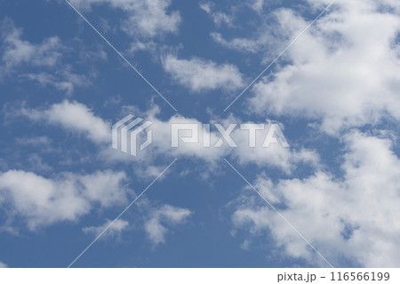 梅雨の晴れ間07 116566199