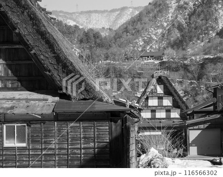 岐阜・白川郷の合掌造り 岐阜・白川郷の合掌造り 116566302