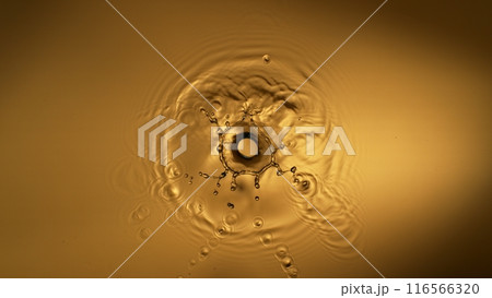 Freeze motion of splashing liquid on golden background 116566320