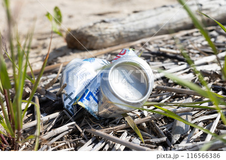 海のゴミ530 海のゴミ530 116566386