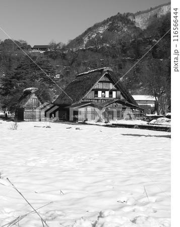 岐阜・白川郷の合掌造り 116566444