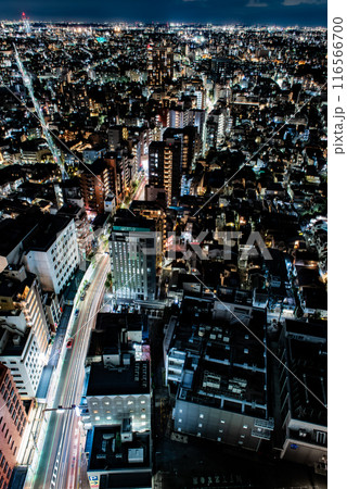 夜景　～東京・スカイキャロット展望ロビー・2～ 116566700