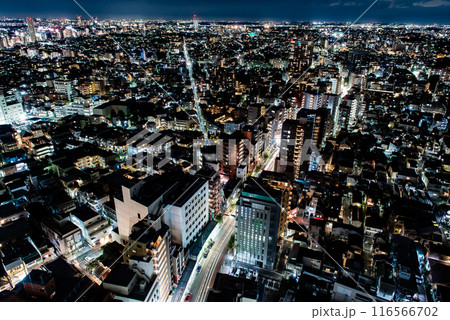 夜景 ~東京・スカイキャロット展望ロビー・3~ 夜景 ~東京・スカイキャロット展望ロビー・3~ 116566702