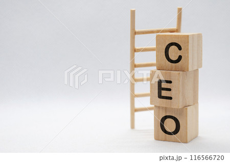 Chief Executive Officer - CEO text on wooden cubes with wooden ladder background. Senior Leadership Concept 116566720