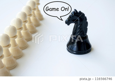 Black knight getting ready for battle. Chess game concept. Black knight getting ready for battle. Chess game concept. 116566746