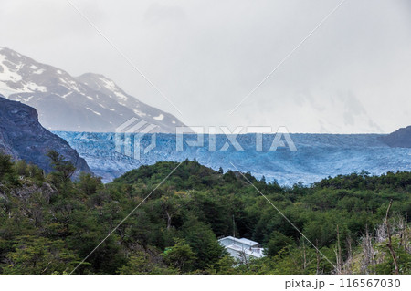 Hiking the W-Trek in Torres Del Paine 116567030