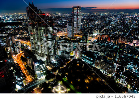 夜景　～東京・東京都庁展望室・1～ 116567045