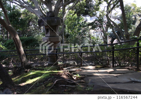 野毛山公園 野毛山公園 116567244