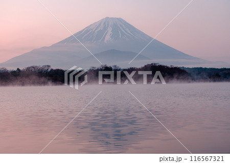 山のある風景 116567321