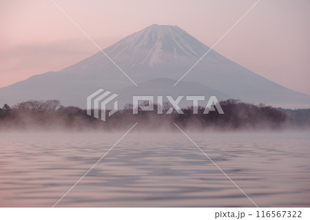 山のある風景 116567322
