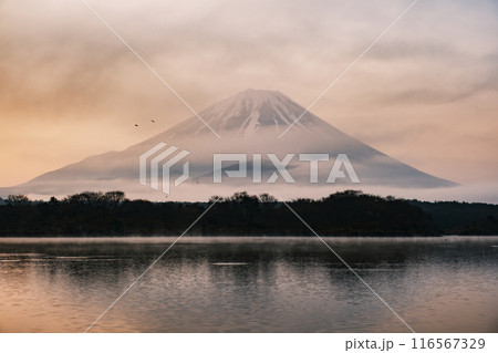 山のある風景 116567329