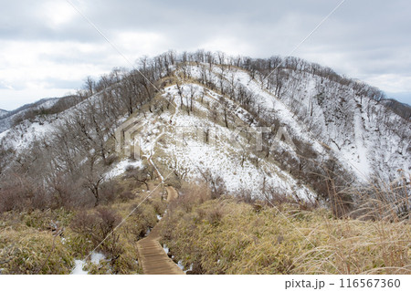 山のある風景 山のある風景 116567360