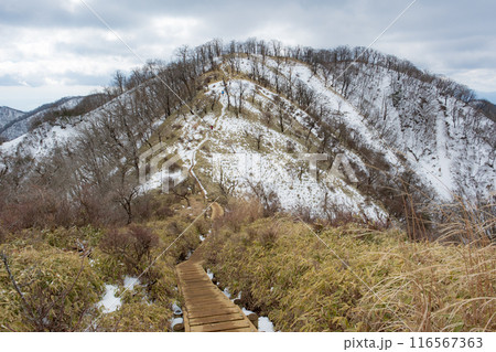 山のある風景 山のある風景 116567363
