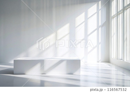 The sun shines through windows, casting shadows on the floor 116567532