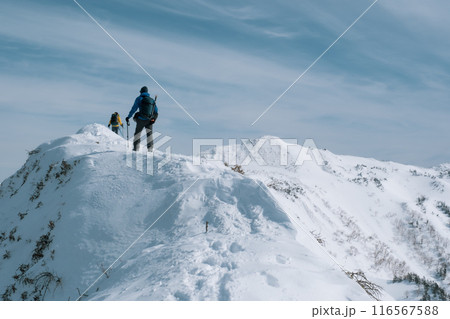 雪山の山岳風景 116567588