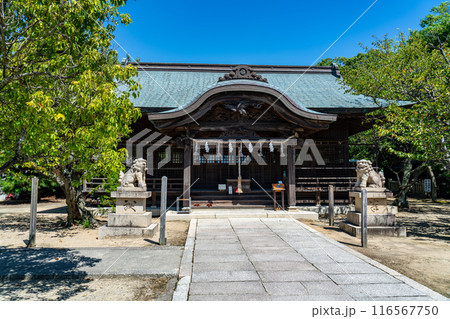 伊和都比売神社 拝殿と秋晴れの空 兵庫県赤穂市 伊和都比売神社 拝殿と秋晴れの空 兵庫県赤穂市 116567750