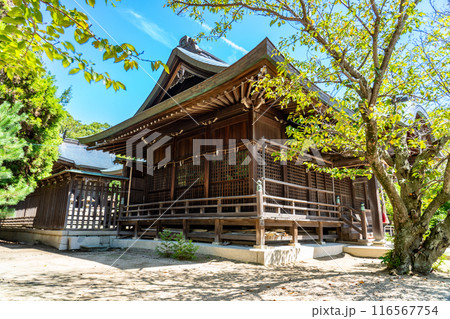 伊和都比売神社 初秋の境内の風景1 兵庫県赤穂市 伊和都比売神社 初秋の境内の風景1 兵庫県赤穂市 116567754