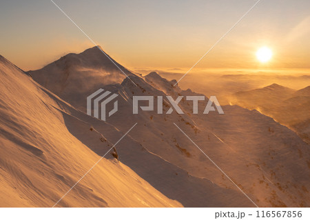 伯耆大山 116567856