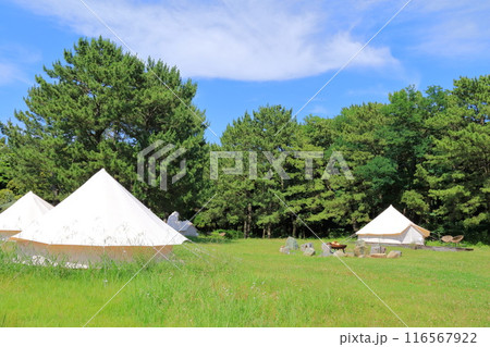千葉県・千葉市・稲毛海浜公園 116567922