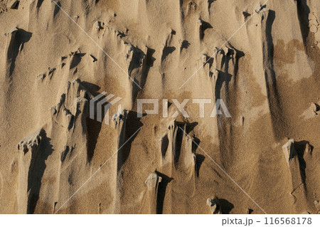 鳥取砂丘 116568178