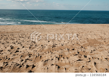 鳥取砂丘 116568184