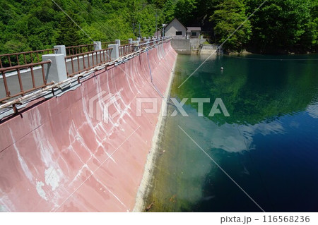 丸沼ダムの堤体と丸沼の湖面 丸沼ダムの堤体と丸沼の湖面 116568236