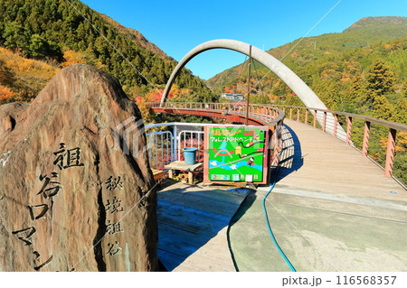 【徳島県】秋の祖谷ふれあい公園（祖谷ロマン橋） 116568357