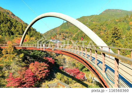【徳島県】秋の祖谷ふれあい公園(祖谷ロマン橋) 【徳島県】秋の祖谷ふれあい公園(祖谷ロマン橋) 116568360