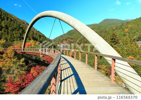 【徳島県】秋の祖谷ふれあい公園（祖谷ロマン橋） 116568370