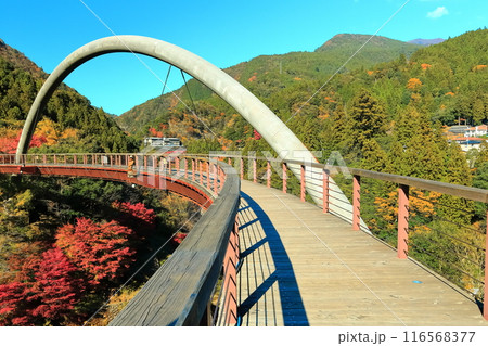 【徳島県】秋の祖谷ふれあい公園(祖谷ロマン橋) 【徳島県】秋の祖谷ふれあい公園(祖谷ロマン橋) 116568377