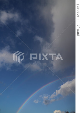 雨上がり青空にかかる虹と雲　#レインボー　#rainbow 116568461
