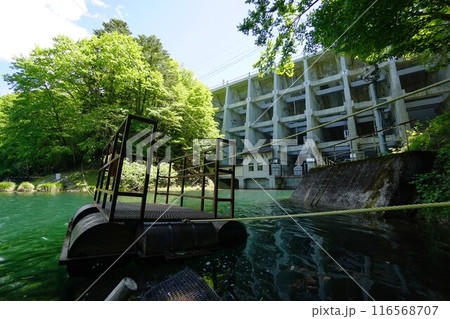 丸沼ダム下流のトムソーヤ号 116568707