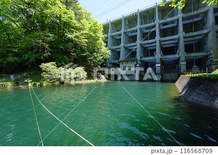 下流から見る丸沼ダムの堤体 下流から見る丸沼ダムの堤体 116568709