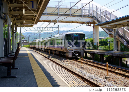 広川ビーチ駅に到着する紀勢本線の普通電車(和歌山県有田郡広川町) 広川ビーチ駅に到着する紀勢本線の普通電車(和歌山県有田郡広川町) 116568878