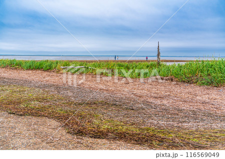 【北海道】別海町観光船で行く　トドワラ散策 116569049