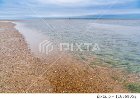【北海道】別海町観光船で行く　トドワラ散策 116569058