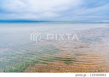 【北海道】別海町観光船で行く トドワラ散策 【北海道】別海町観光船で行く トドワラ散策 116569063