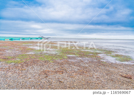 【北海道】別海町観光船で行く　トドワラ散策 116569067