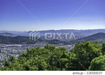 坂出の街並み　青ノ山山頂展望台　香川県宇多津町 116569237