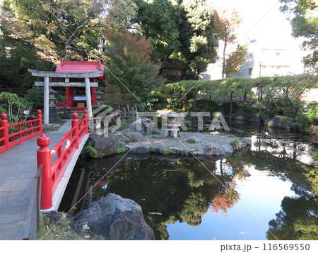 文京区千駄木の須藤公園 116569550