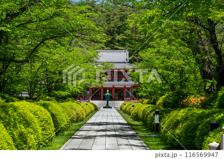 初夏の蓼科山 聖光寺本堂 116569947