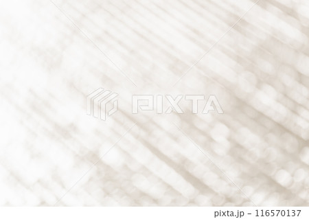光と影 背景素材 116570137