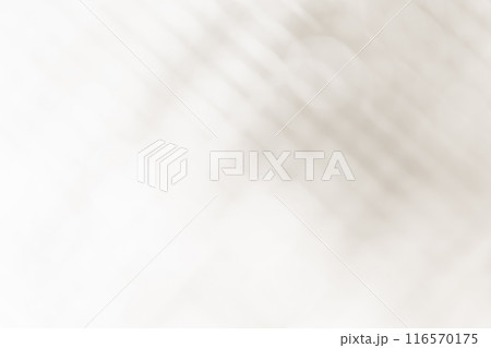 光と影 背景素材 116570175